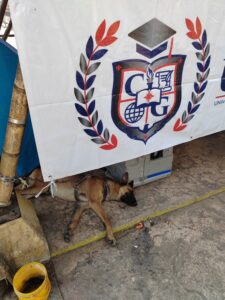 IMG_20250427_094838